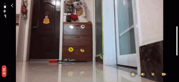 主業掃拖,副業逗喵,這款掃地機擁有一顆有趣的靈魂 主業掃拖,副業逗喵,這款掃地機擁有一顆有趣的靈魂