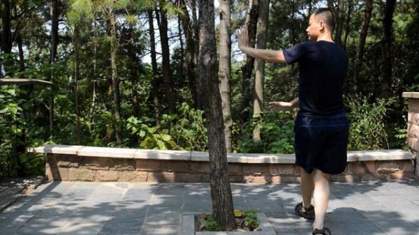 今日隨筆 寫給有緣的你 我在講說拳術的點點滴滴