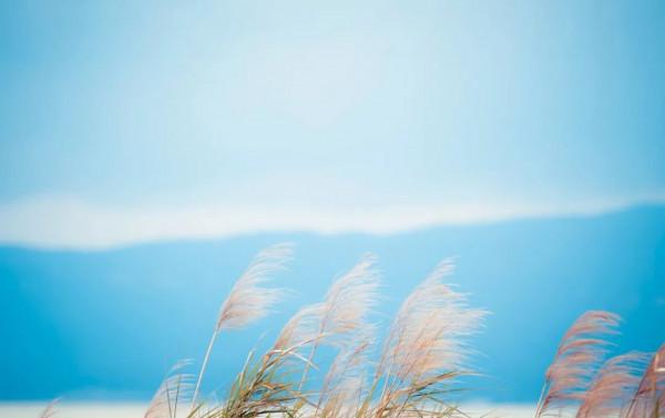 秋天最美的10個瞬間，風清露白，桂子飄香，醉了人間