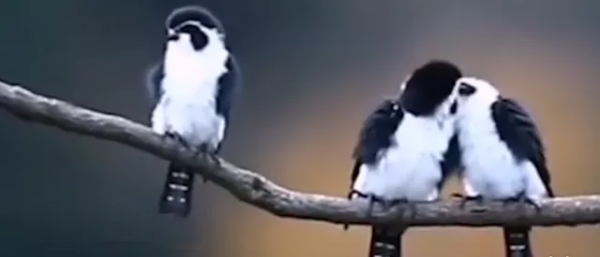 回顧2021—十大流行語，你說過多少