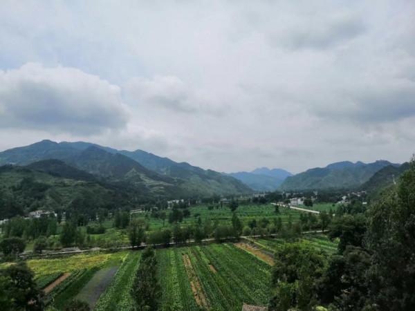 打破“秦嶺無礦”,這個深山小鎮,產值上億,有著世界級的寶藏 打破“秦嶺無礦”,這個深山小鎮,產值上億,有著世界級的寶藏