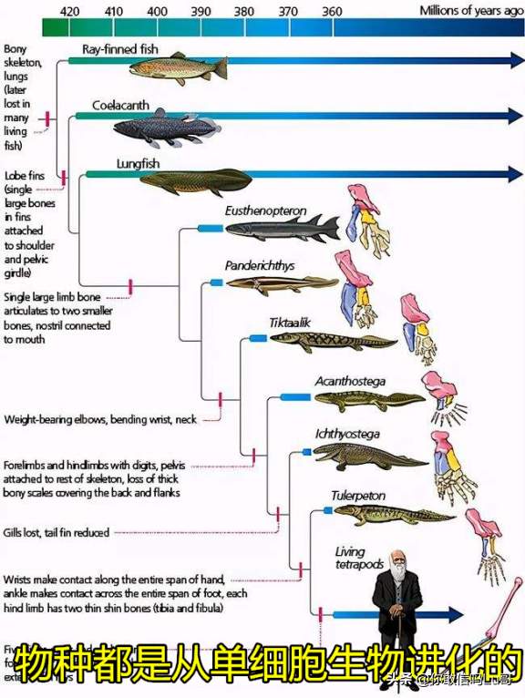 癌症發生的真正原理是什麼?目前提出了三個假說,都有哪些? 癌症發生的真正原理是什麼?目前提出了三個假說,都有哪些?
