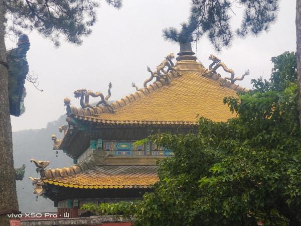 一路走來一路拍，只是想把美景分享給朋友們