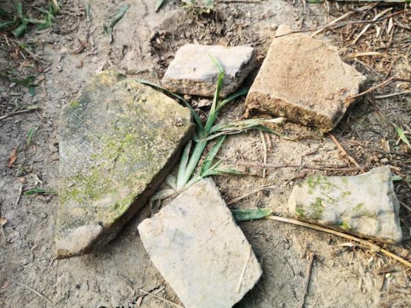 摩托周邊旮旯遊——尋朱元璋出家之於皇寺 摩托周邊旮旯遊——尋朱元璋出家之於皇寺