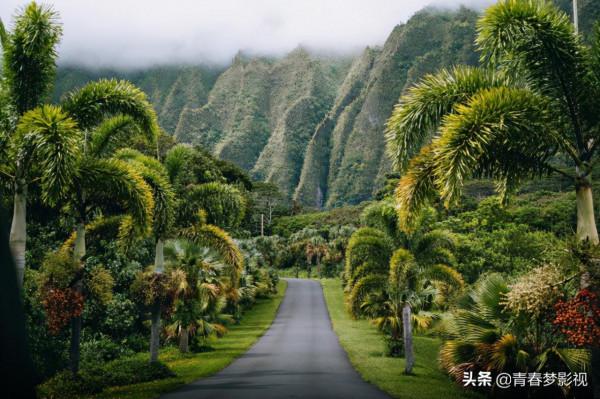 你有過“過午不食”的這種習慣嗎? 你有過“過午不食”的這種習慣嗎?