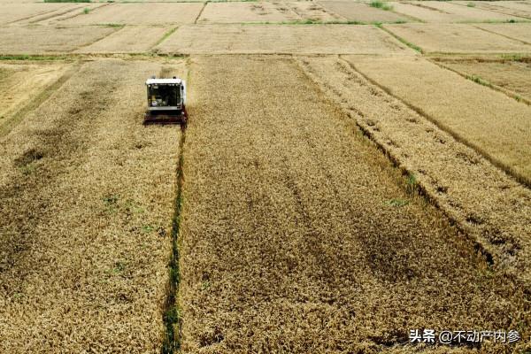 振興:助力農村發展,“盤活土地”很重要 振興:助力農村發展,“盤活土地”很重要
