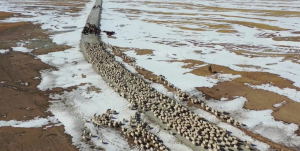 出國有什麼了不起?你來過新疆嗎? 出國有什麼了不起?你來過新疆嗎?