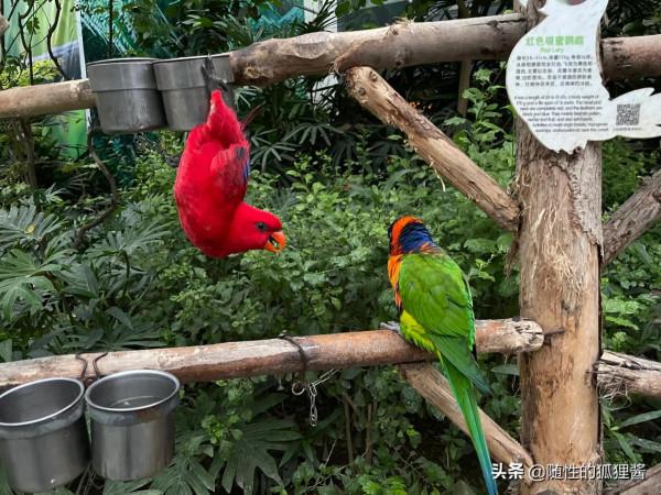 京城遛娃好去處，價格、硬體、軟體彙總，冬季遛娃好輕鬆