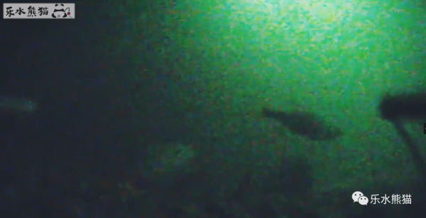 拆壞了攝像頭，終於搞明白探魚器的N個問題