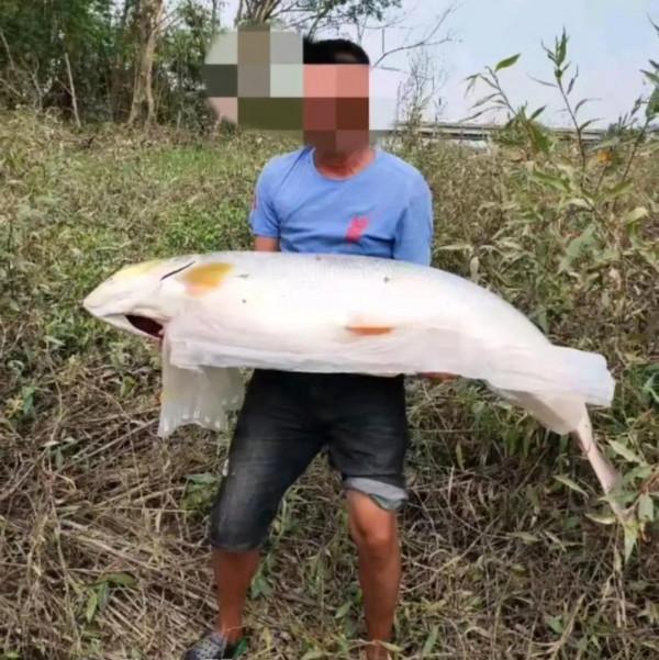 重慶釣魚人釣起“水老虎”扛著走回家，網友：能繞縣城走一天
