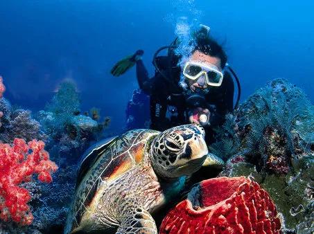 “馬來西亞”現狀，帶你看看真實的馬來西亞