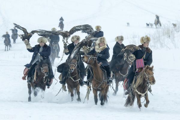 超出你想象的空中草原