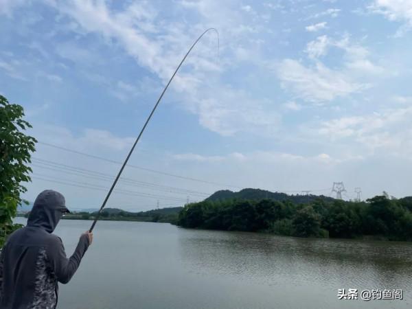 跟著大師學釣魚,越學越釣不到魚?我來告訴你幾個真相 跟著大師學釣魚,越學越釣不到魚?我來告訴你幾個真相