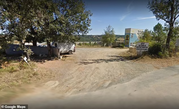 法國動物園9只狼逃出圍欄遊蕩，園方被迫在遊人面前射殺群狼