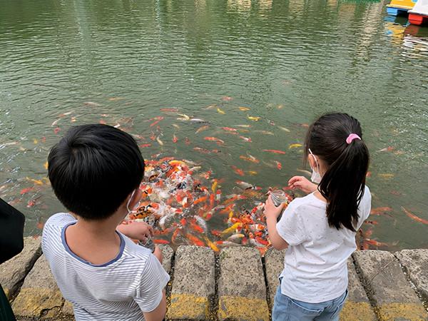 九州伊甸園智慧導覽功能服務為遊客帶來特色體驗