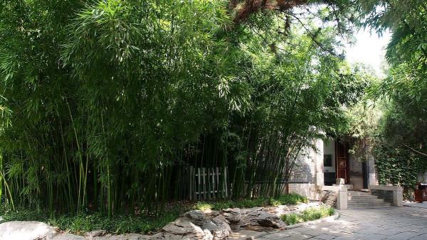 獨守孤貞待歲寒。來日可期,一首寫於謫居之所的七律,曠達高遠 獨守孤貞待歲寒。來日可期,一首寫於謫居之所的七律,曠達高遠