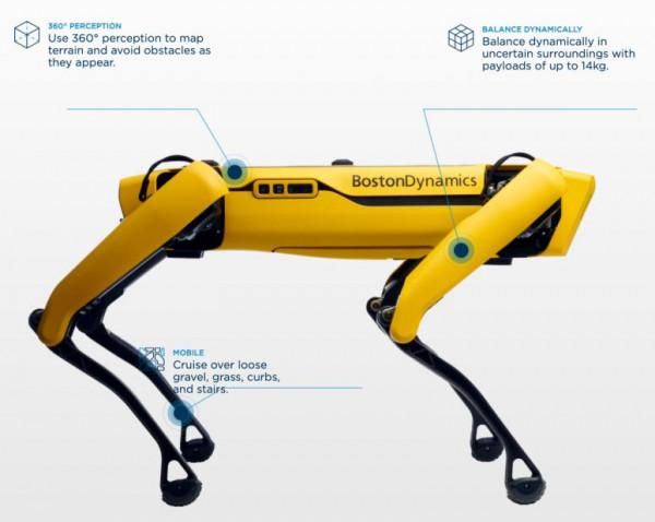 貼錢養狗，雷軍和馬化騰咋想的？