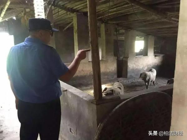 村容村貌迎來&OpenCurlyDoubleQuote;整改&rdquo;？2月將&OpenCurlyDoubleQuote;清查6種&rdquo;違規行為，請互相通知