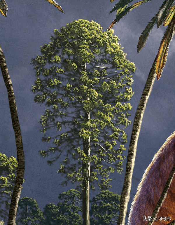 從一張侏羅紀恐龍的插圖中,探索當年地球的多樣物種和生態系統 從一張侏羅紀恐龍的插圖中,探索當年地球的多樣物種和生態系統