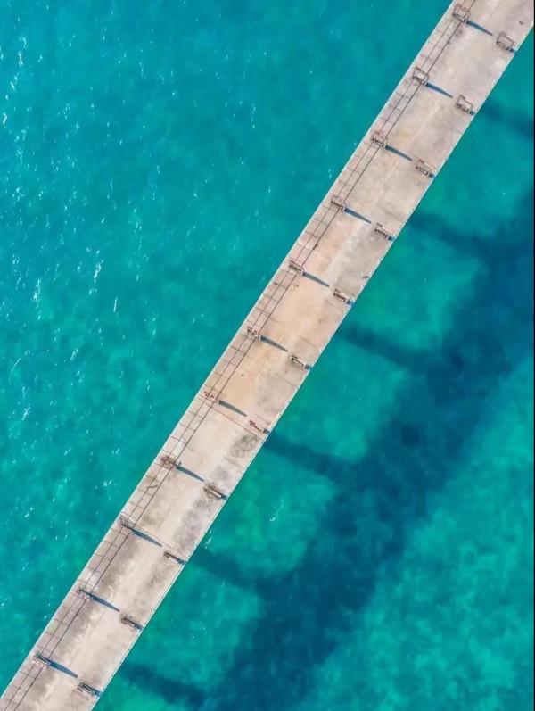 2月國寶級美景!不輸瑞士的神秘淨土,最早綻放的萬畝花海 2月國寶級美景!不輸瑞士的神秘淨土,最早綻放的萬畝花海