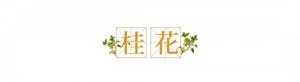 來了！中國賞秋地圖