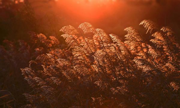 兄弟姐妹情同陌路，除了父母偏心外，還有以下幾個原因