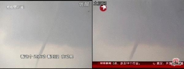 世界上真的有龍嗎? 世界上真的有龍嗎?