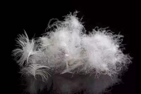 冬天買衣服不在量，而在質量