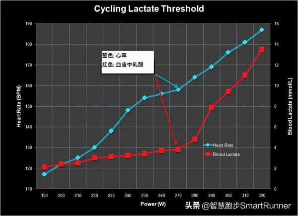 馬拉松密碼：乳酸閾值