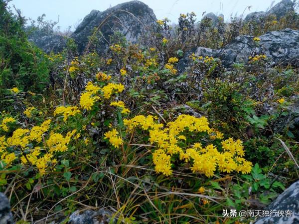 攀登昆明的崑崙山-梁王山,可遠觀滇池、撫仙湖、陽宗海、星雲湖 攀登昆明的崑崙山-梁王山,可遠觀滇池、撫仙湖、陽宗海、星雲湖