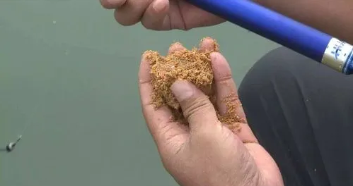 小寒之後這麼釣鯽魚，保你連桿上魚不停歇