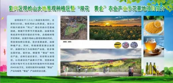 鄉村振興 ▏從“地下開挖”到“地上開花”“煤村”變“美村”！