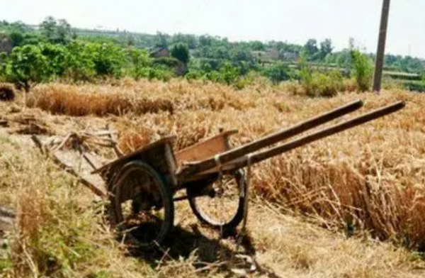 葬於北京鬧市的18歲河南少年,火車為其改道,一半骨灰放入八寶山 葬於北京鬧市的18歲河南少年,火車為其改道,一半骨灰放入八寶山