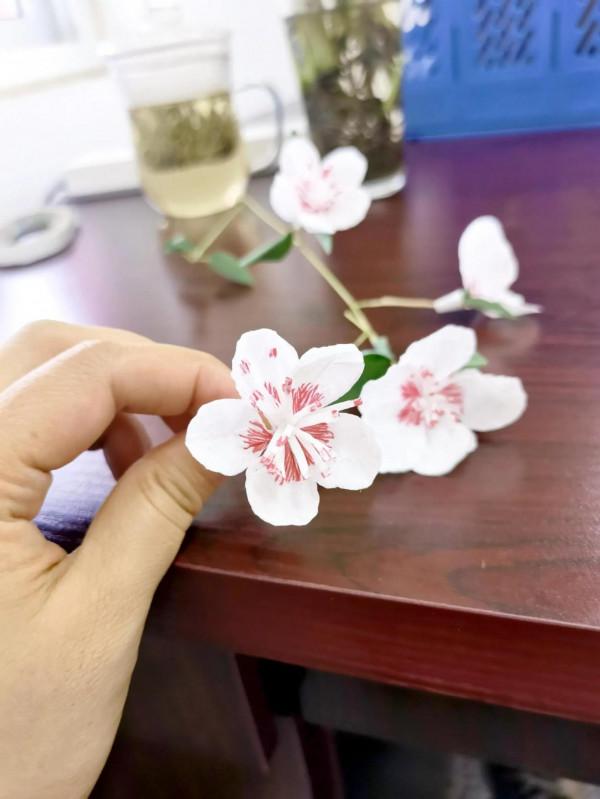 廢物利用~冬日第一束桃花 廢物利用~冬日第一束桃花