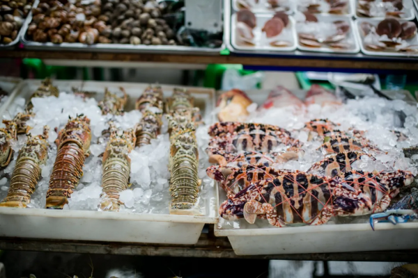 中國最美沿海公路，坐擁5大海島，一路駛向大海，山海風光絕美