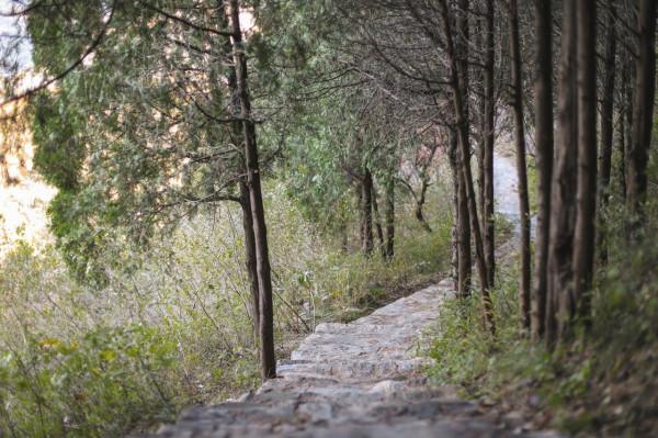 北京徒步登山:人少且免費的爬山步道,房山石花洞鳥語林風景區 北京徒步登山:人少且免費的爬山步道,房山石花洞鳥語林風景區