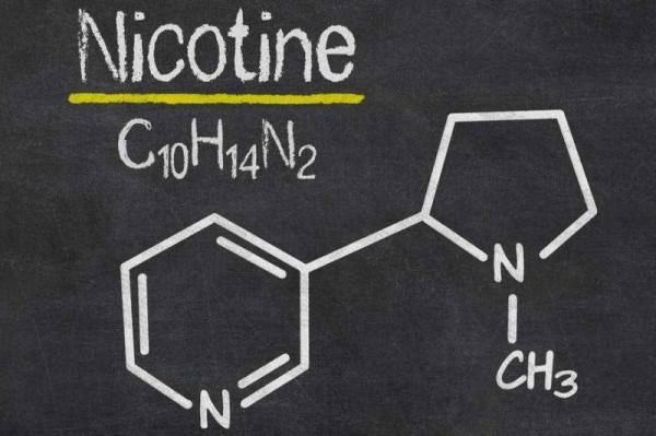 為證明吸菸無害，英國菸草公司讓狗每天吸30支菸，三年後結果如何