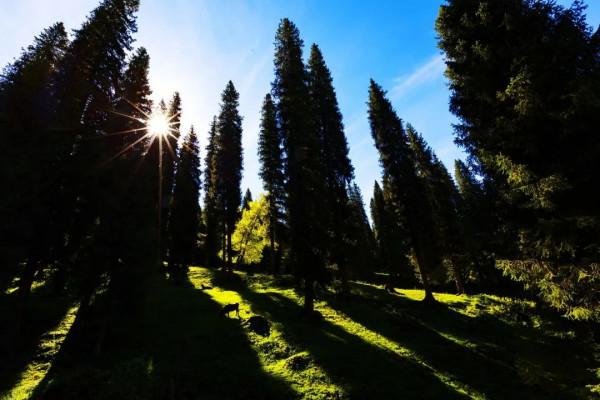 五一，或許有機會去這些地方.......