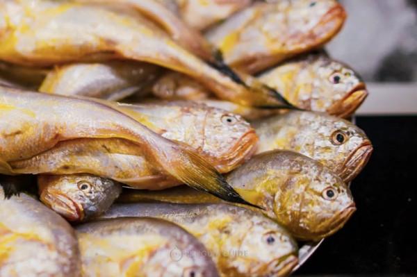 全國秋天神仙菜市場大賞 全國秋天神仙菜市場大賞