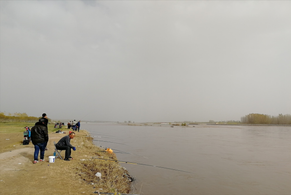 在黃河釣魚，你得會這兩種釣法兩個技巧，要不然就只能望河興嘆了
