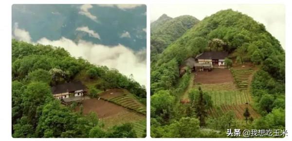 王力宏當年暗戀劉亦菲！所以才寫的《依然愛你》！網友簡直是人才