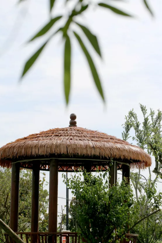 聯莊村：一個＂整＂出來的野趣盎然江南水鄉