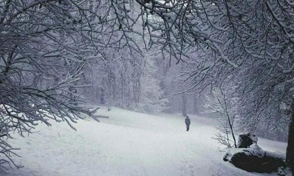 關於愛情的年味記憶（1984年）