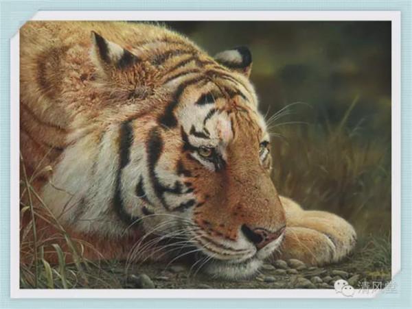 加拿大繪畫:野生動物的描繪 加拿大繪畫:野生動物的描繪