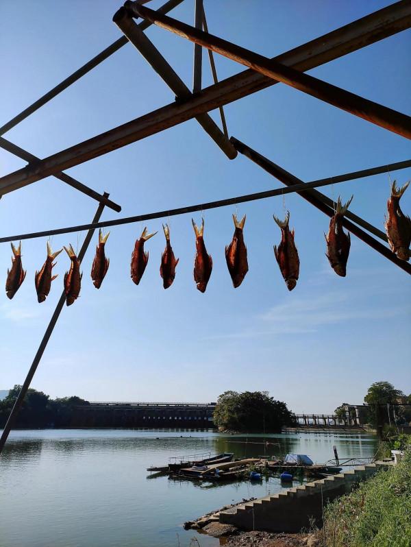 難忘甘竹灘 難忘甘竹灘