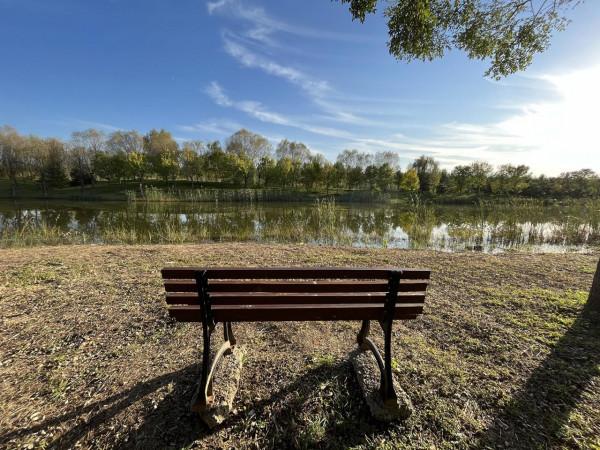 iPhone 13拍照實戰體驗：色調真實，想要高飽和度也沒問題