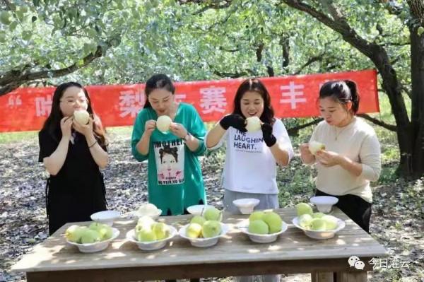 灌雲縣伊甸園：“豐”景這邊獨好
