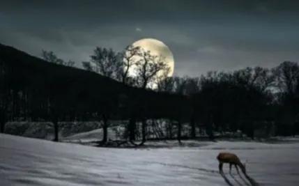 孤獨，是一種境界