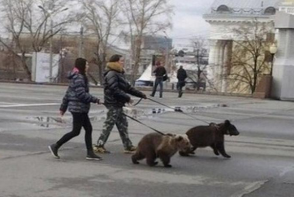 俄羅斯被我們稱為“戰鬥民族”，那他們是怎麼稱呼中國人的？