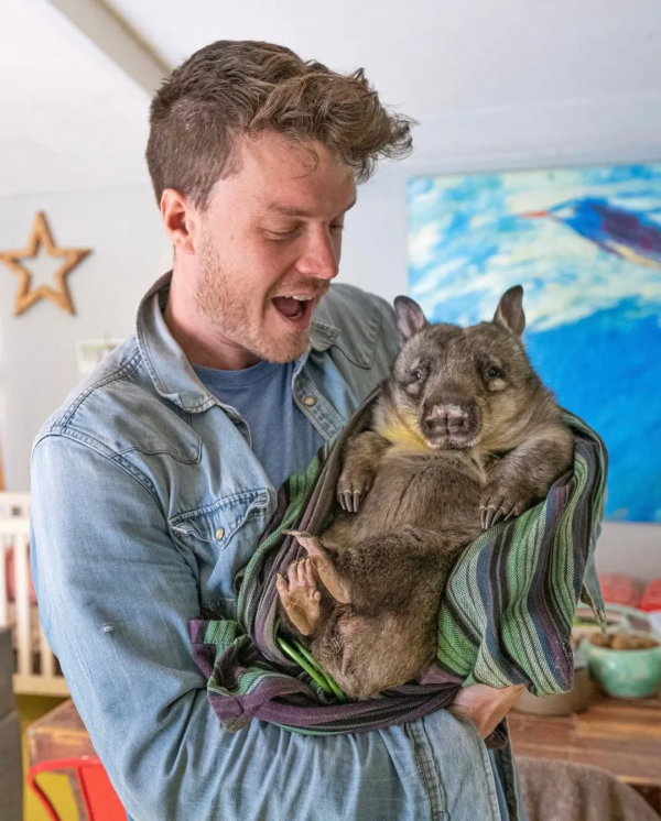 澳洲小哥靠一組照片成為“年度網紅”:絕了,每隻動物都會笑? 澳洲小哥靠一組照片成為“年度網紅”:絕了,每隻動物都會笑?